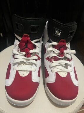 Jordan 6 Retro(Carmine)